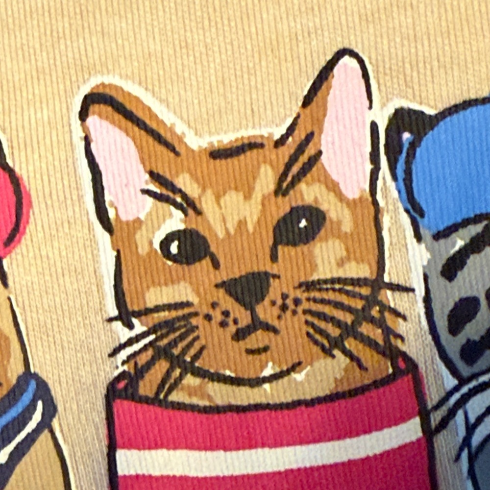 Kim Rogers Perfectly Soft size L 3/4 Sleeve Cat Graphic Top NWOT Beige crew-neck - Picture 10 of 16